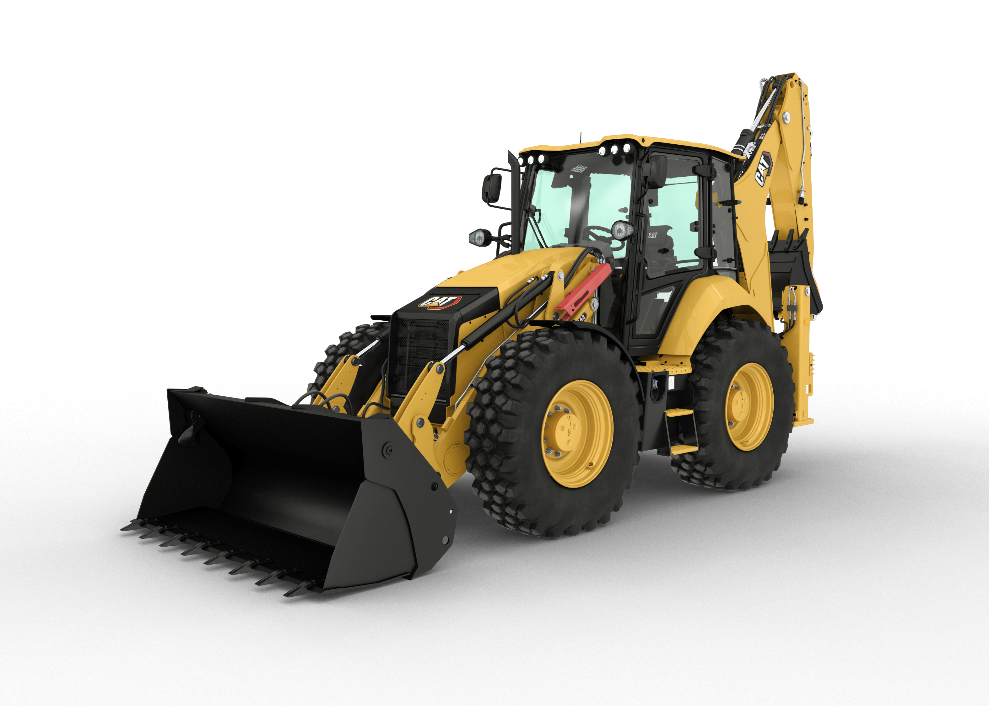 Cat 444